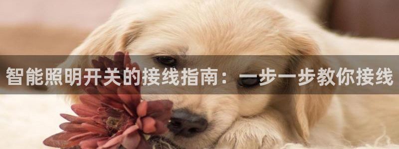 云顶国际黑网不出款怎么办