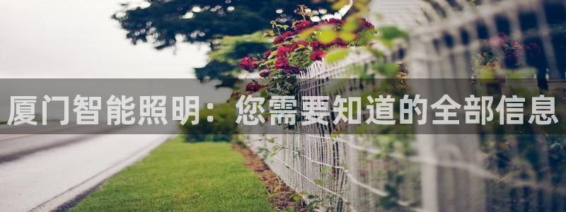 云顶国际体育官方网站下载