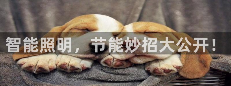 云顶国际会议中心地址