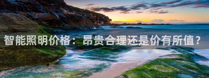 云顶国际酒店老板