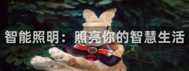 云顶国际公馆是公寓吗多少钱