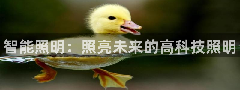 yoga云顶