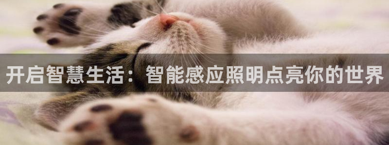 云顶集团网站多少钱一个