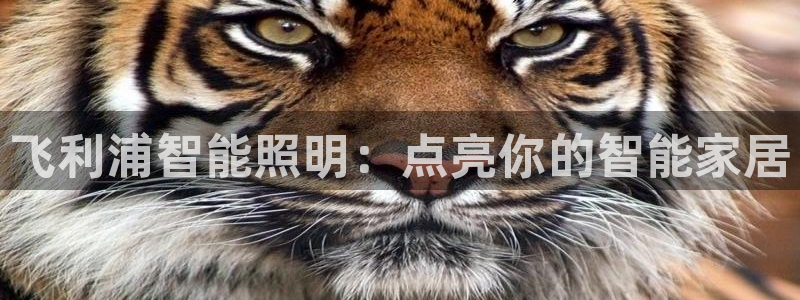 云顶国际公馆是公寓吗多少钱