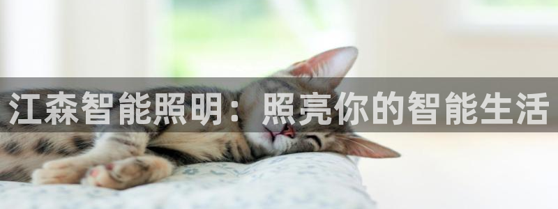 云顶国际官网官方