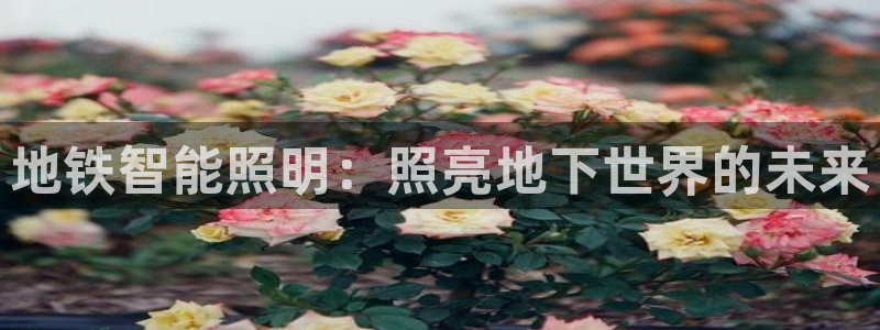 云顶官网网址