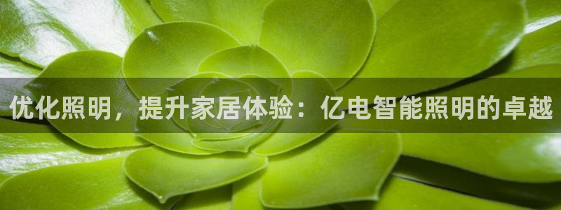 云顶国际服更新时间