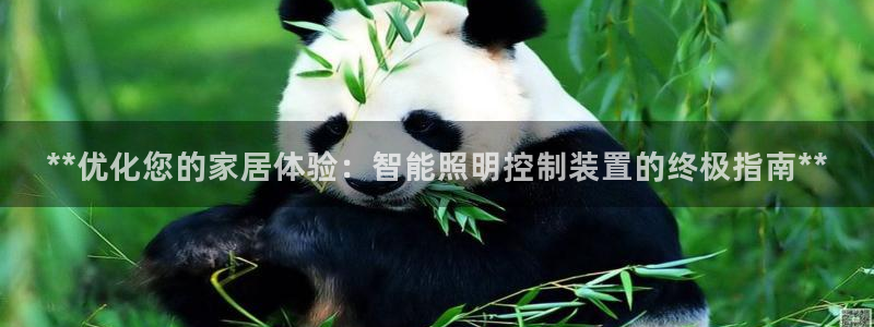 云顶集团app
