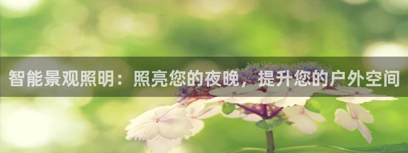 云顶集团app
