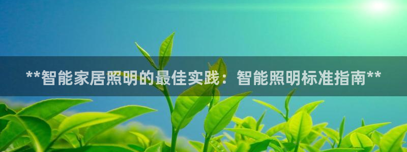 云顶国际服哪个服人多