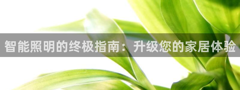 云顶网站网址