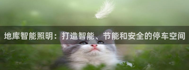 云顶国际酒店电话