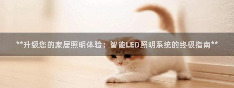 云顶国际APP