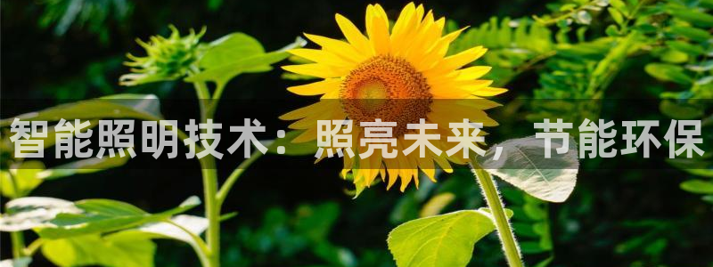 云顶集团3118acm