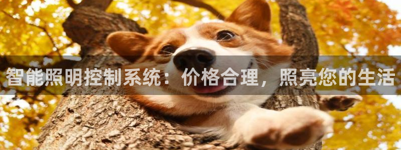 云顶国际商业广场a座101层