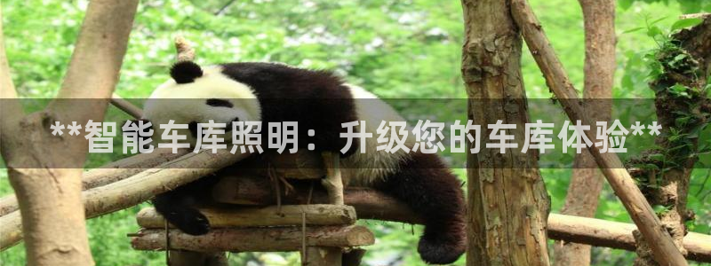 云顶最新公告