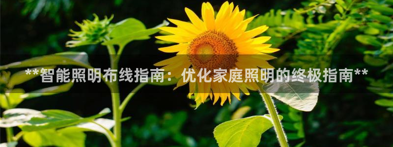 云顶国际app怎么样好用吗