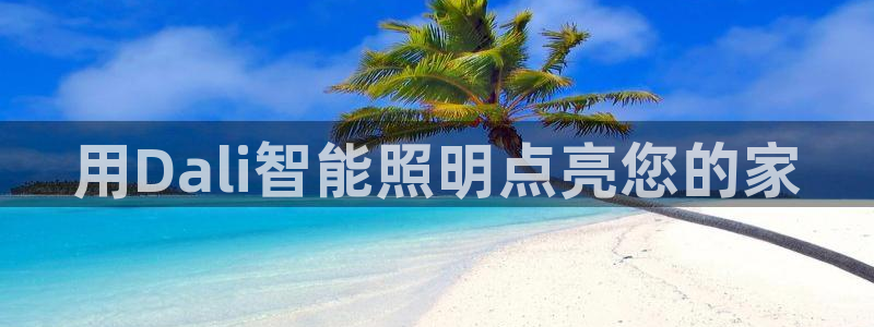 云顶国际服服务端错误