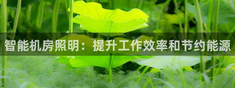 2322云顶