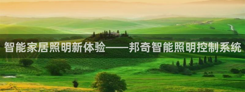 云顶国际足球app下载