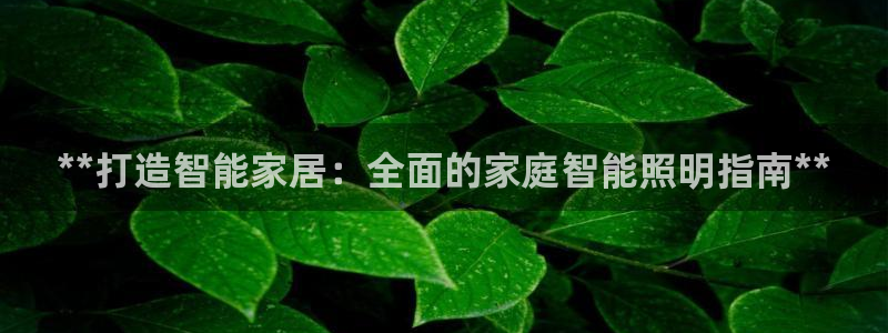 云顶国际集团发展有限公司国内项目总经理