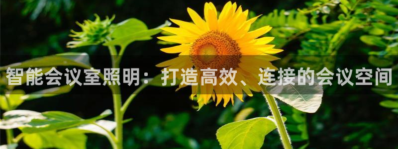 云顶线路检测 官方网站