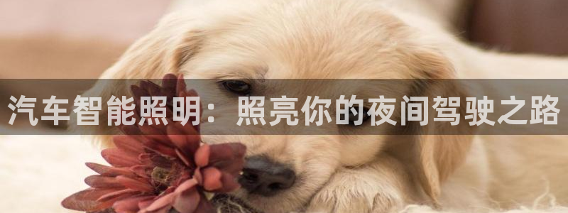 云顶国际的网址是多少啊