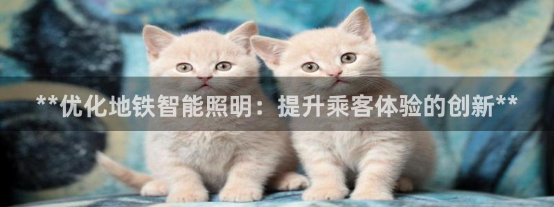 云顶集团网站多少
