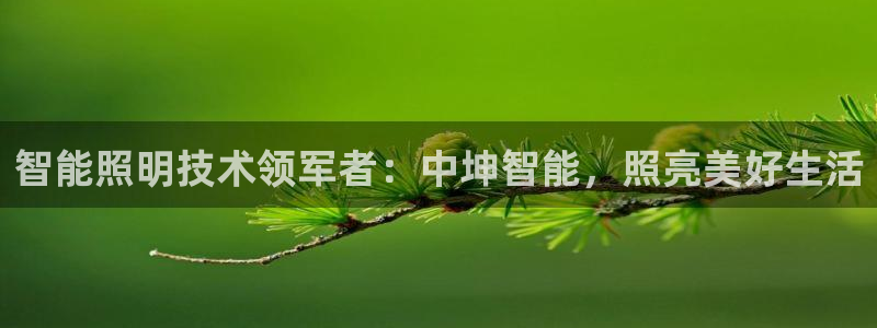 云顶国际服s11什么时候上线