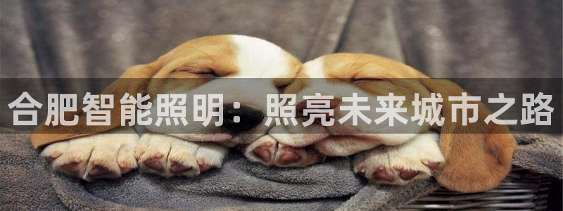 云顶国际官网官方网站