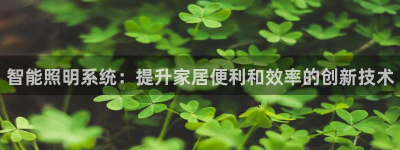云顶国际商业广场 停车