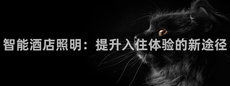 云顶集团公司董事长是谁