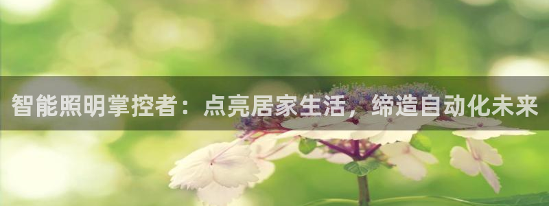 云顶国际服什么时候更新s90