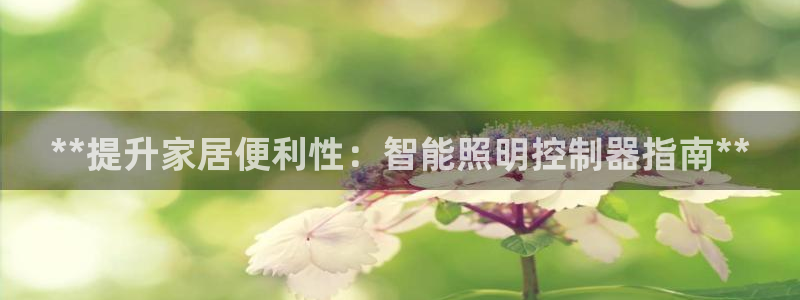 yd88888云顶