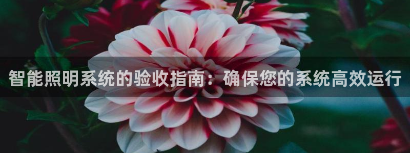 云顶国际服S9什么时候更新