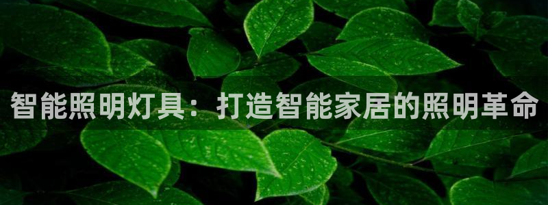 云顶国际cq9