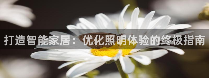 云顶国际服什么时候更新赛季