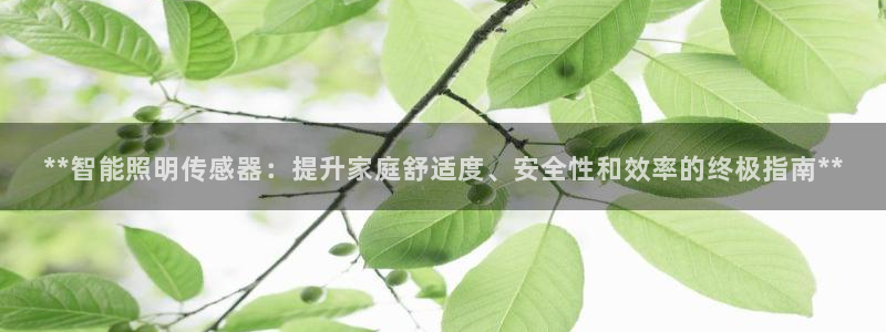 云顶集团gentinggroup