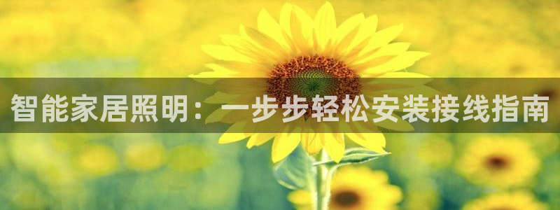 云顶国际威尼斯