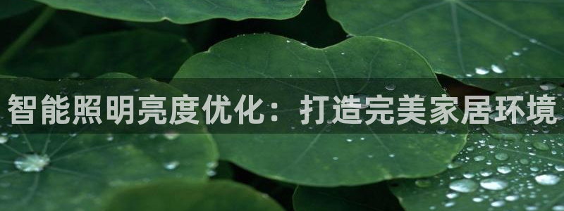 云顶国际城手机网址是什么