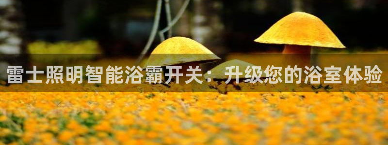 云顶12300线路