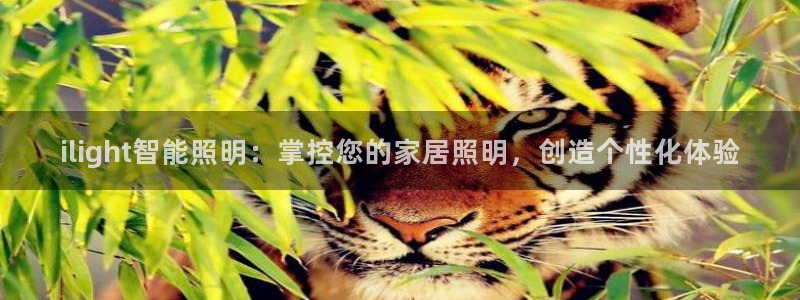 云顶集团简介