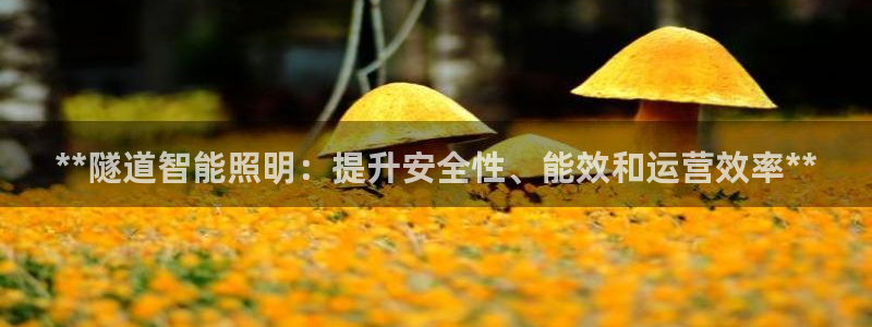 云顶国际提现不到账怎么办