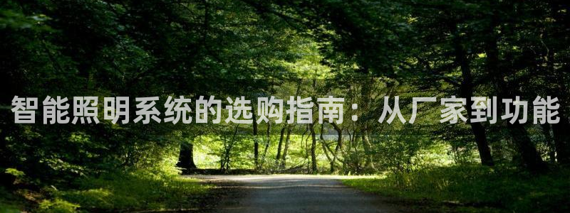 云顶8888