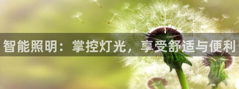 云顶国际服怎么选服务器
