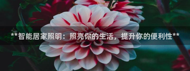 云顶国际怎么才能提现