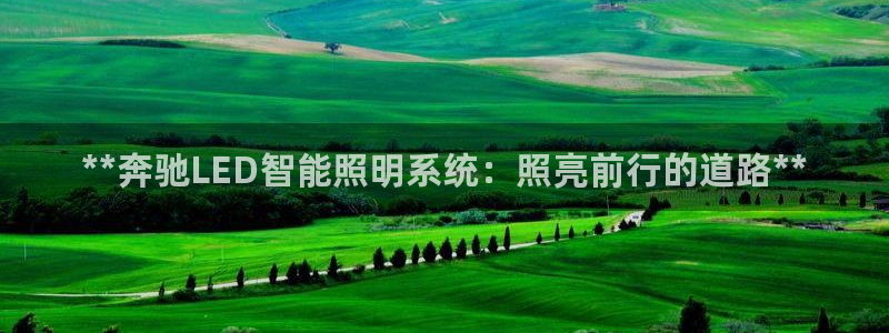 云顶国际服什么时候更新s11