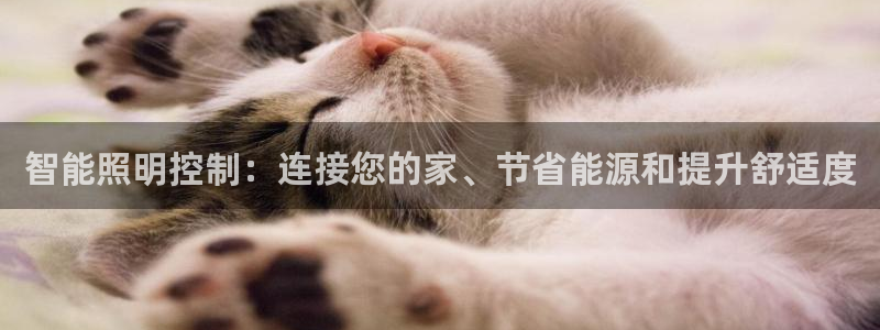 云顶国际大酒店有外卖吗