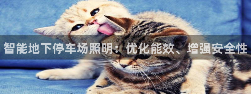 云顶国际是个什么网站