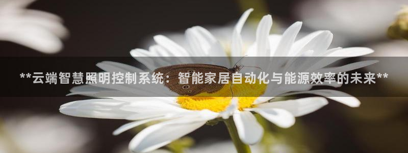 云顶集团在中国上市了吗